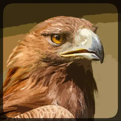 Play Eagle Hunting Journey APK Play Eagle Hunting Journey APK