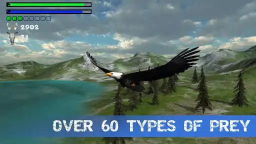 Play Eagle Hunting Journey  and enjoy Eagle Hunting Journey with UptoPlay