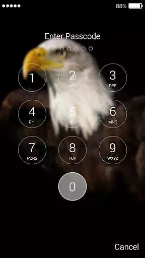 Play Eagle Lock Screen Play Eagle Lock Screen