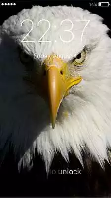 Play Eagle Lock Screen Play Eagle Lock Screen