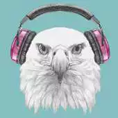 Free play online Eagle MP3 Player APK Free play online Eagle MP3 Player APK