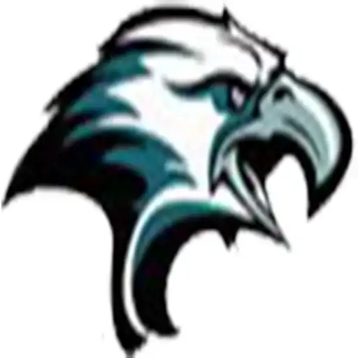 Play Eagle Painting APK