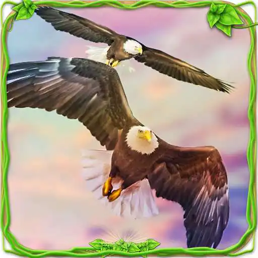 Run free android online Eagle Racing Simulator: Animal Race Game APK