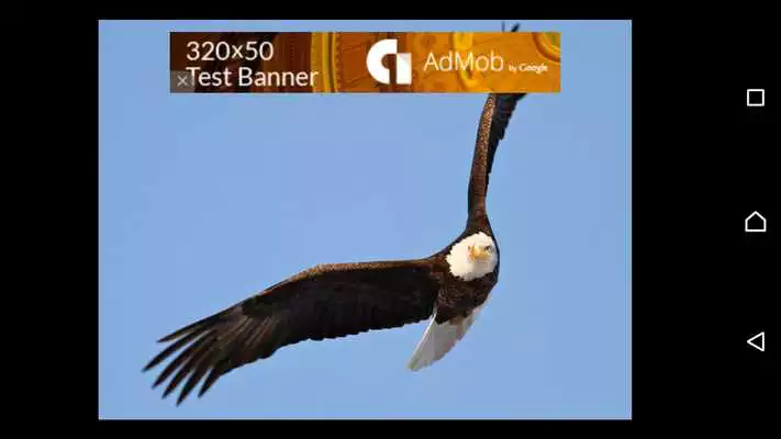 Play Eagle Says