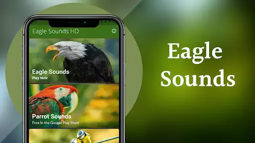 Play Eagle Sounds as an online game Eagle Sounds with UptoPlay