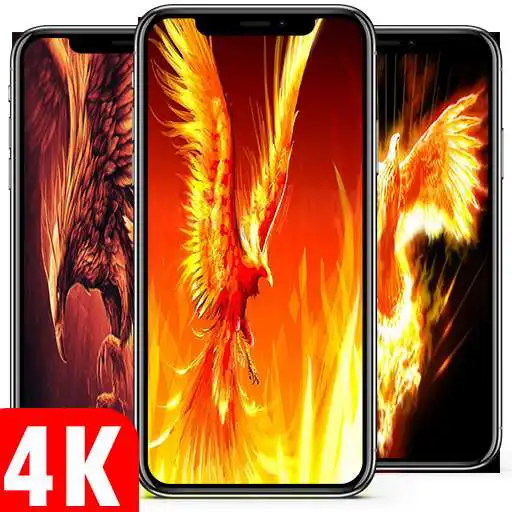 Play Eagle Wallpaper 4k APK