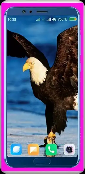 Play Eagle Wallpapers HD - 4K  and enjoy Eagle Wallpapers HD - 4K with UptoPlay
