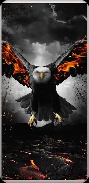 Play Eagle Wallpapers HD - 4K as an online game Eagle Wallpapers HD - 4K with UptoPlay