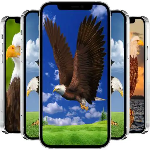 Play Eagle Wallpapers HD APK Play Eagle Wallpapers HD APK