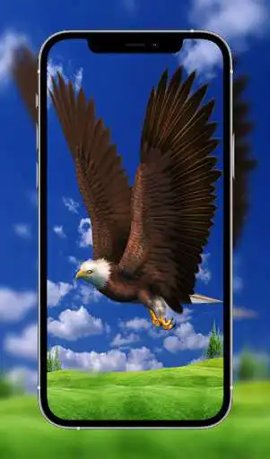 Play Eagle Wallpapers HD  and enjoy Eagle Wallpapers HD with UptoPlay