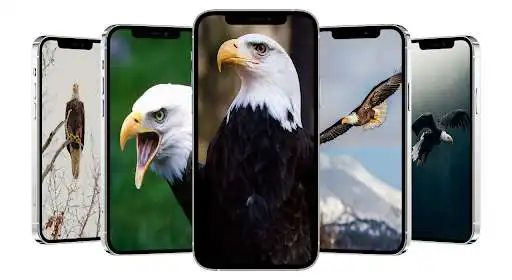 Play Eagle Wallpapers HD as an online game Eagle Wallpapers HD with UptoPlay