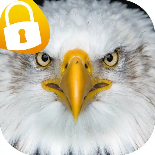 Play Eagl Lock Screen Wallpapers APK Play Eagl Lock Screen Wallpapers APK