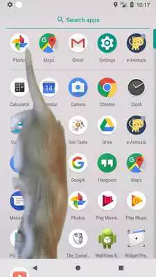 Play e-Animals