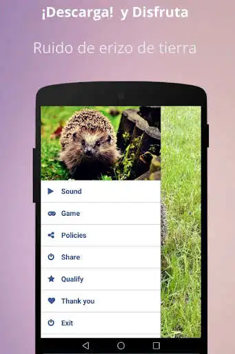 Play Earth hedgehog noise  and enjoy Earth hedgehog noise with UptoPlay