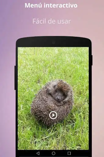 Play Earth hedgehog noise as an online game Earth hedgehog noise with UptoPlay