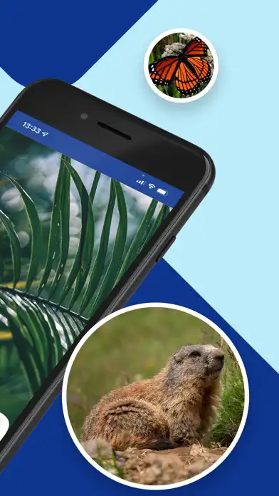 Play EarthSnap - Nature Identifier as an online game EarthSnap - Nature Identifier with UptoPlay