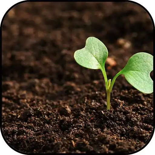 Play Earth Wallpapers APK Play Earth Wallpapers APK