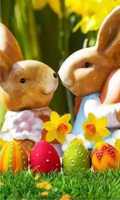 Play Easter Bunny Cute