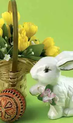 Play Easter Bunny Cute