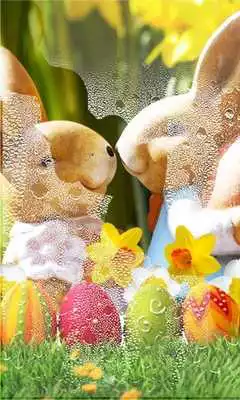 Play Easter Bunny Cute