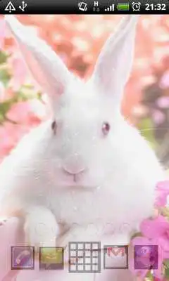 Play easter bunny live wallpapers