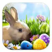 Free play online Easter Bunny Live Wallppers APK