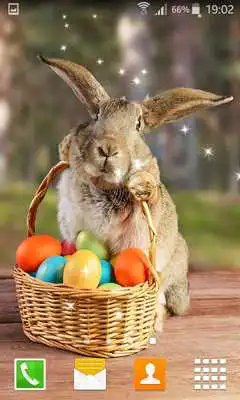 Play Easter Bunny Live Wallppers