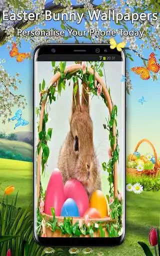 Play APK Easter Bunny Wallpapers  and enjoy Easter Bunny Wallpapers with UptoPlay com.andromo.dev518376.app500118