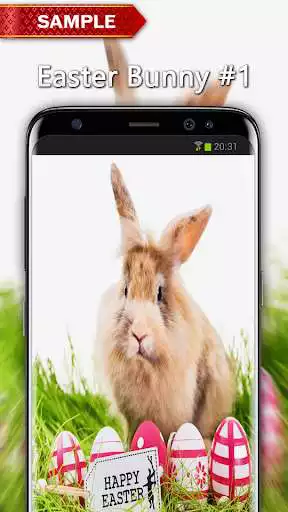 Play APK Easter Bunny Wallpapers  and enjoy Easter Bunny Wallpapers with UptoPlay com.andromo.dev518376.app500118