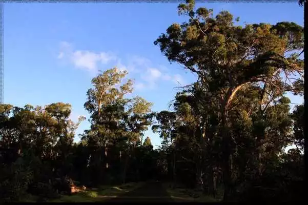 Play Easter Island wallpaper