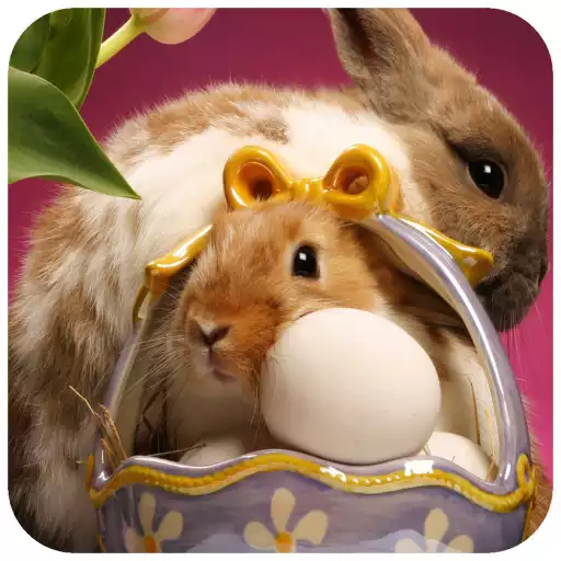 Free play online Easter Wallpaper APK Free play online Easter Wallpaper APK