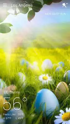 Play Easter Weather Live Background