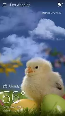 Play Easter Weather Live Background