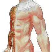 Free play online Easy Anatomy Review APK Free play online Easy Anatomy Review APK