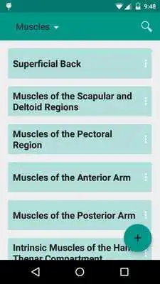 Play Easy Anatomy Review