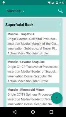 Play Easy Anatomy Review