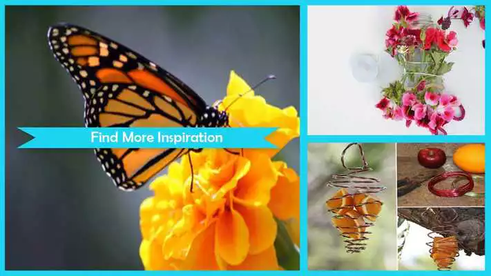 Play Easy DIY Butterfly Feeder