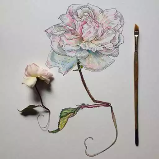 Run free android online Easy Drawing Flowers APK Run free android online Easy Drawing Flowers APK