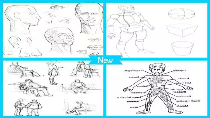 Play Easy Drawing Human Bodies