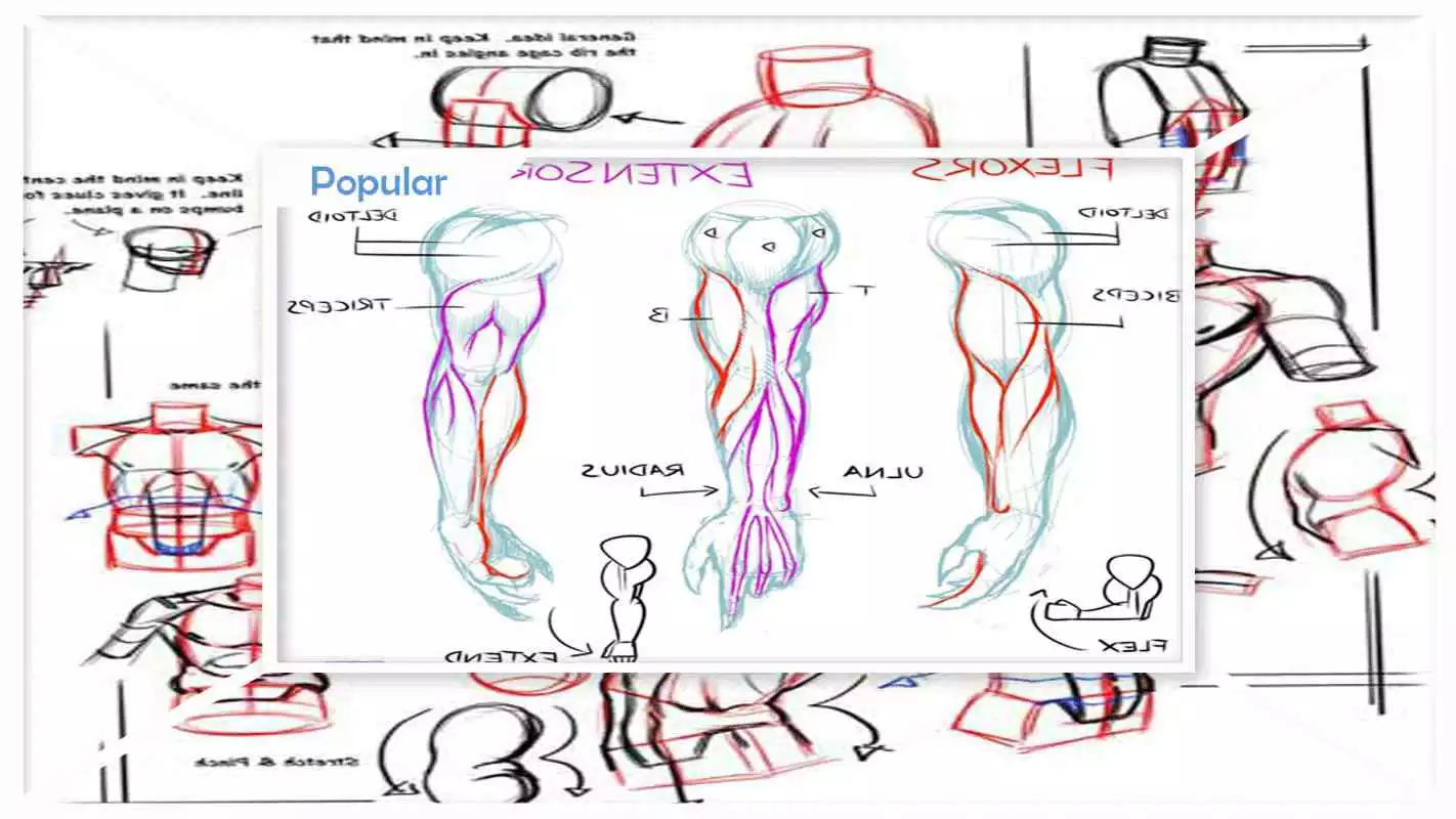Play Easy Drawing Human Bodies