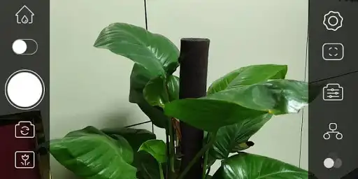 Play EasyGimbal as an online game EasyGimbal with UptoPlay