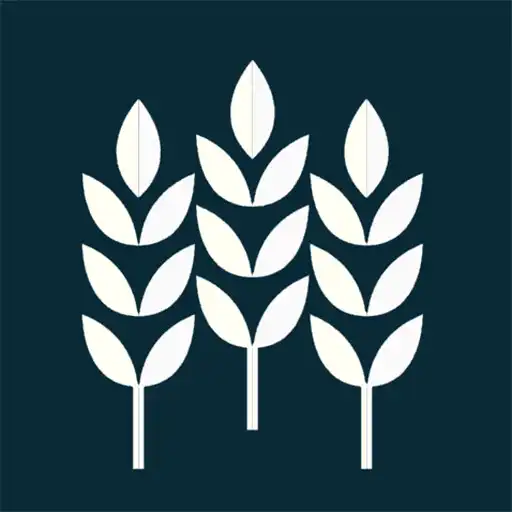 Play Easygrowth APK Play Easygrowth APK