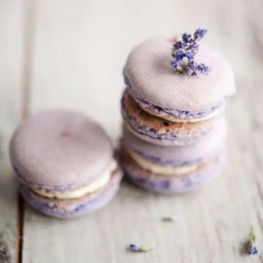 Play Easy macarons recipes APK Play Easy macarons recipes APK