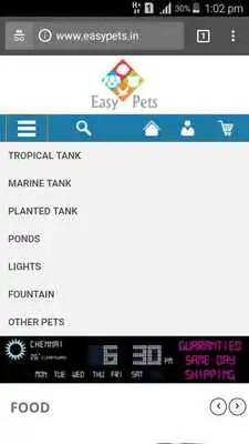 Play Easypets.in