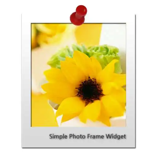 Run free android online Easy Photo Frame Widget APK Run free android online Easy Photo Frame Widget APK