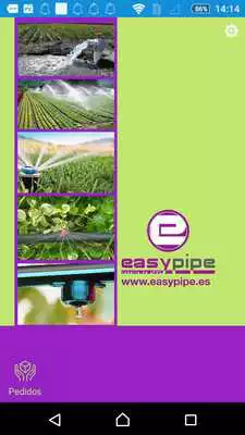 Play easypipe Play easypipe