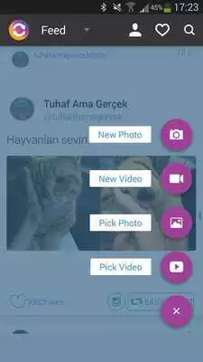 Play EasyRepost