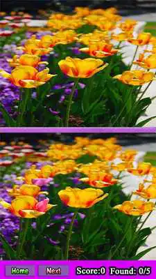 Play Easy Spot the Difference