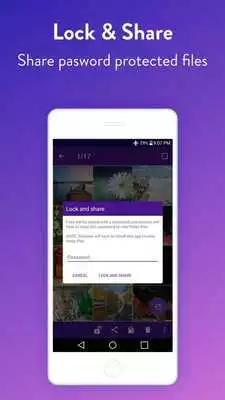 Play Easy Vault Play Easy Vault