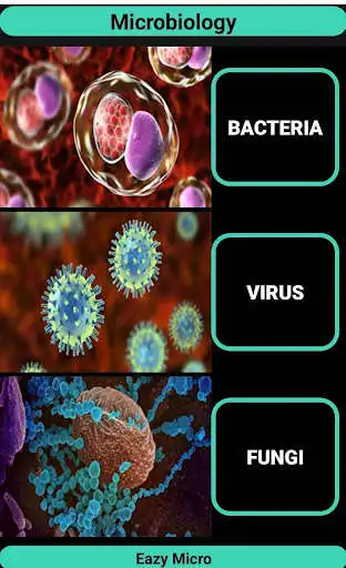 Play EazyMicro - Microbiology  and enjoy EazyMicro - Microbiology with UptoPlay